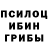Галлюциногенные грибы GOLDEN TEACHER dr Mukhtar
