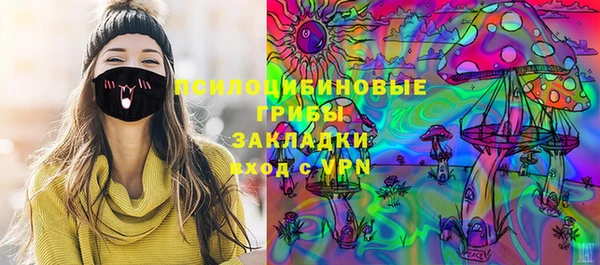 PSILOCYBIN Аркадак