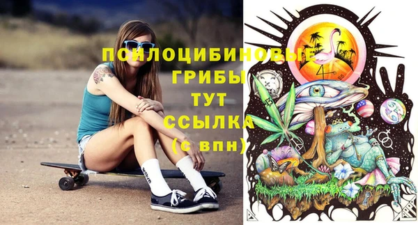 прущий лед Арсеньев