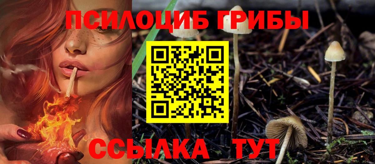 Галлюциногенные грибы MAGIC MUSHROOMS  Вход с VPN  Псилоцибиновые грибы прущие грибы  Лянтор 